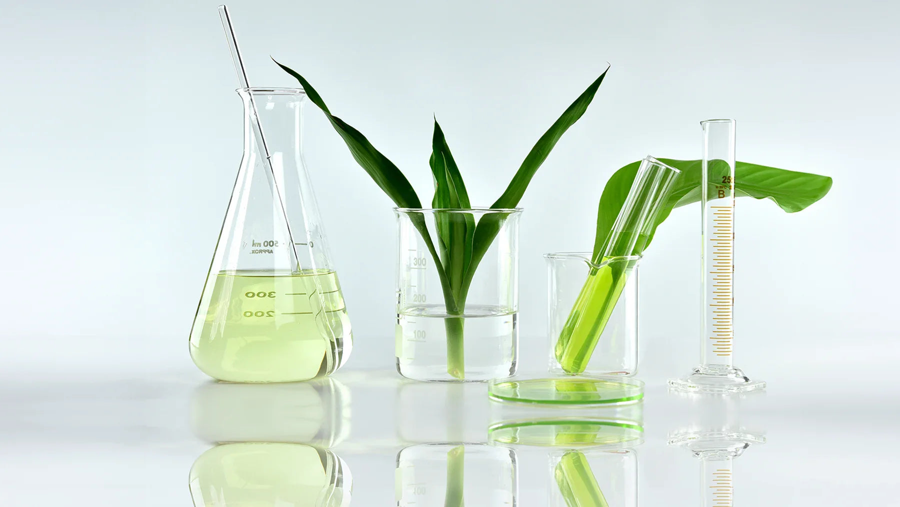 The Science of Shampoo Formulation - All Ingredients Explained