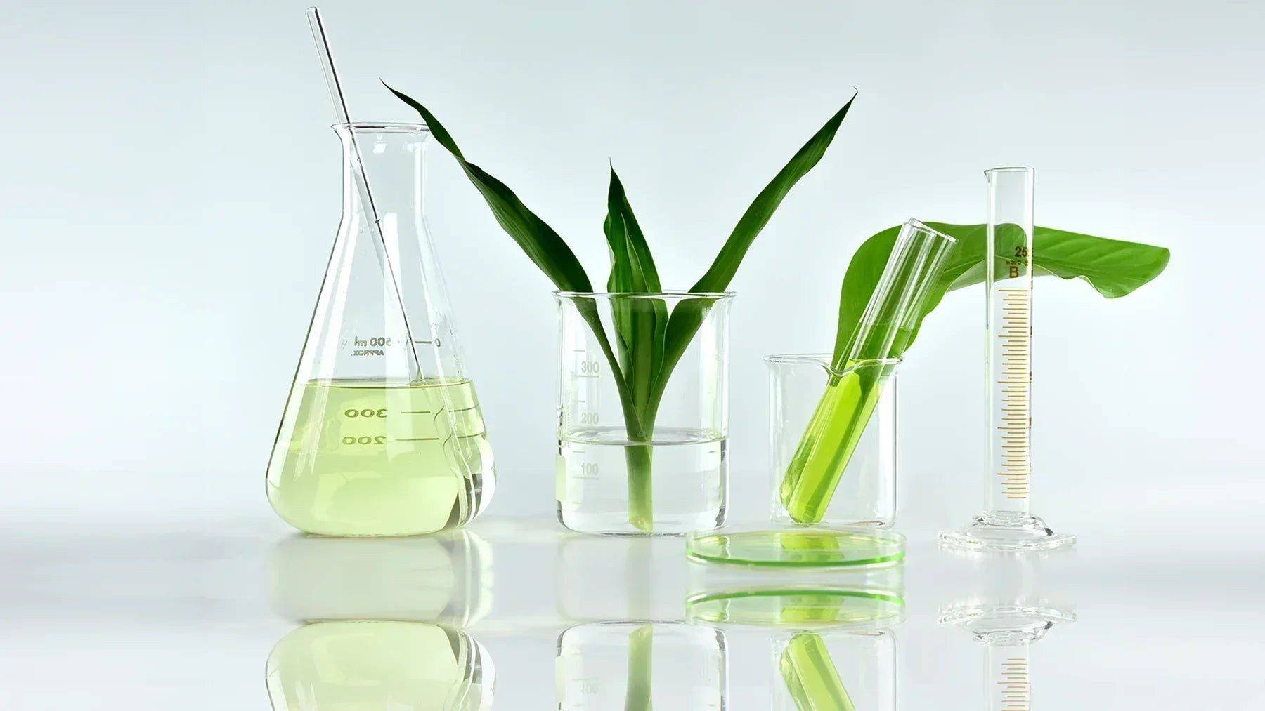 The Science of Shampoo Formulation - All Ingredients Explained